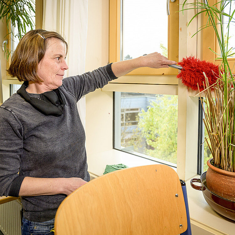 Frau reinigt die Fensterbank und Pflanzen mit einem roten Staubwedel in einem hellen Raum.